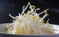 哪些蔬菜適宜發(fā)芽了吃？