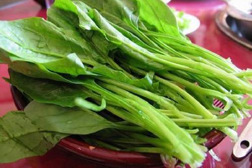 菠菜營養(yǎng)功效及食用注意事項(xiàng)