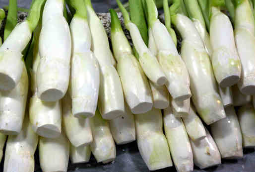 茭白的營(yíng)養(yǎng)價(jià)值與飲食禁忌介紹