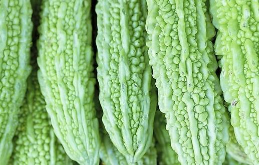 兒童吃苦味菜造血促食欲 苦味菜有哪些？