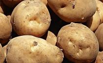結(jié)石病人不能吃哪些食物？