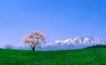 90后初入職場(chǎng)如何排除職場(chǎng)路障？