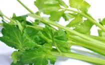 你知道哪些食物會(huì)殺精嗎？