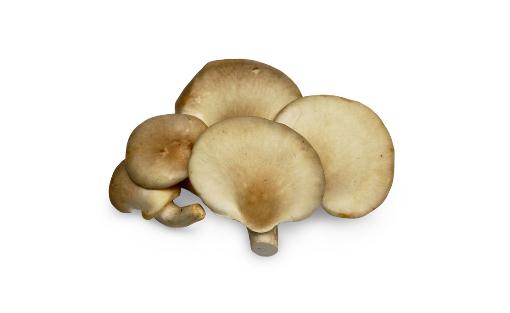 吃鮑魚菇有什么好處？鮑魚菇的做法