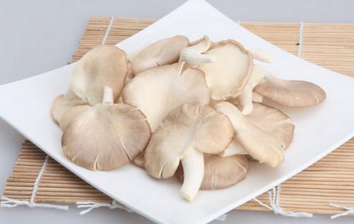 吃鳳尾菇好嗎？鳳尾菇怎么做好吃？