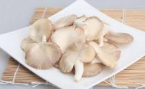 吃鳳尾菇好嗎？鳳尾菇怎么做好吃？