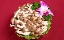蟹味菇的營養(yǎng)價(jià)值 蟹味菇的做法大全