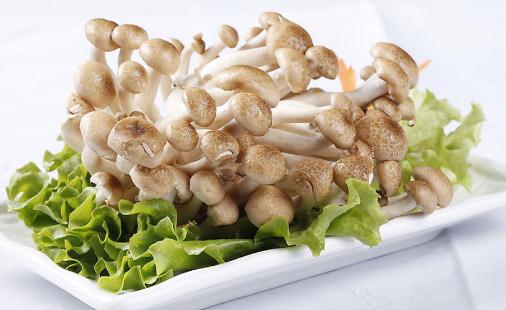 真姬菇的營養(yǎng)價(jià)值 真姬菇的做法