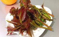 如何挑選香椿芽？香椿芽怎么吃最健康？