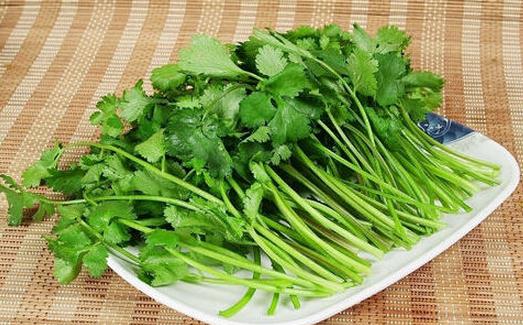 芫荽是什么？芫荽怎么做好吃？
