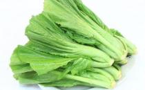 葉用芥菜是什么？葉用芥菜怎么做？