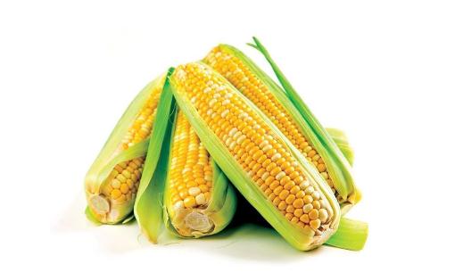 玉米是營(yíng)養(yǎng)價(jià)值最高的主食
