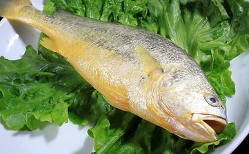 【黃魚(yú)】_黃魚(yú)的營(yíng)養(yǎng)價(jià)值,功效與作用,黃魚(yú)怎么做好吃,黃魚(yú)的做法大全 【黃魚(yú)】_黃魚(yú)的營(yíng)養(yǎng)價(jià)值,功效與作用,黃魚(yú)怎么做好吃,黃魚(yú)的做法大全