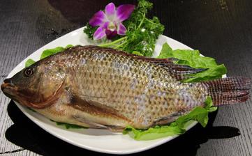 【福壽魚(yú)】_福壽魚(yú)的營(yíng)養(yǎng)價(jià)值,福壽魚(yú)怎么做好吃,福壽魚(yú)的做法大全 【福壽魚(yú)】_福壽魚(yú)的營(yíng)養(yǎng)價(jià)值,福壽魚(yú)怎么做好吃,福壽魚(yú)的做法大全
