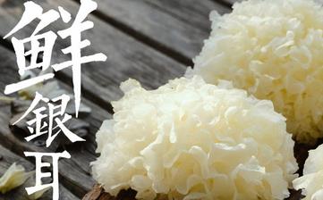 【銀耳】_銀耳的營養(yǎng)價值,銀耳的功效,銀耳怎么做,銀耳的做法大全 【銀耳】_銀耳的營養(yǎng)價值,銀耳的功效,銀耳怎么做,銀耳的做法大全