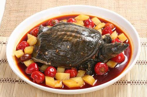 甲魚的營養(yǎng)價值 男人怎么吃最有營養(yǎng)