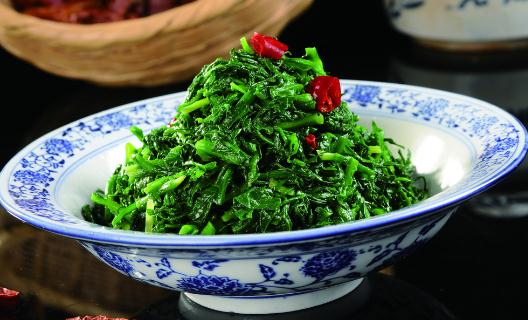 這些野菜能養(yǎng)生你認(rèn)識幾種？