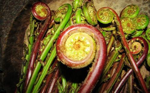 大棚種植的野菜營(yíng)養(yǎng)如何？