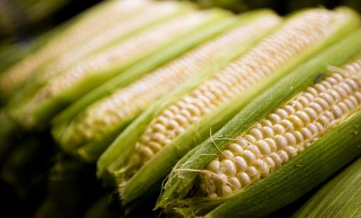 玉米含有甜蜜素 多食玉米有害嗎？