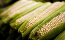 玉米含有甜蜜素 多食玉米有害嗎？