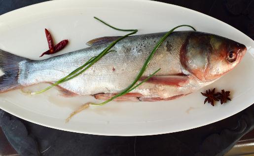 冷水魚是啥？冷水魚最美味