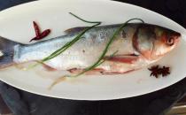 冷水魚(yú)是啥？冷水魚(yú)最美味