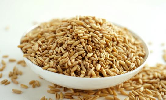 購(gòu)買燕麥還是燕麥片比較好？