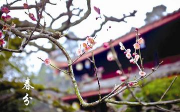 【春分節(jié)氣】春分是幾月幾日_春分吃什么_春分養(yǎng)生_春分是什么意思