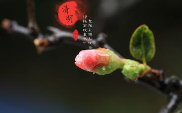 【清明節(jié)氣】清明是幾月幾日_清明吃什么_清明養(yǎng)生_清明是什么意思