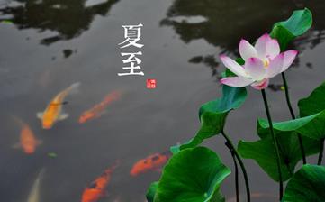 【夏至節(jié)氣】夏至是幾月幾日_夏至吃什么_夏至養(yǎng)生_夏至是什么意思
