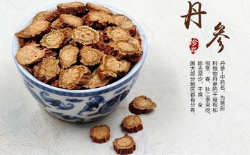 【丹參】丹參的功效與作用_丹參片的功效_丹參的藥用價(jià)值和副作用