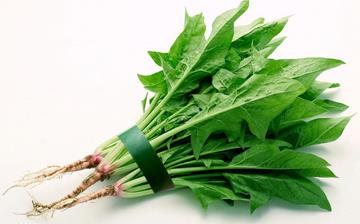 【菠菜】菠菜的營(yíng)養(yǎng)價(jià)值_菠菜不能和什么一起吃_菠菜的做法大全