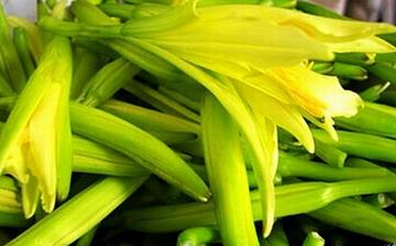 【黃花菜】黃花菜的營(yíng)養(yǎng)價(jià)值_黃花菜怎么做好吃_黃花菜的做法大全