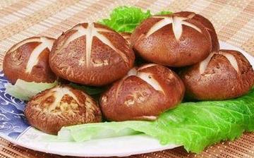 【香菇】香菇的營養(yǎng)價值_香菇怎么做好吃_香菇的做法大全_孕婦能吃香菇嗎