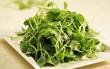 【豌豆苗】豌豆苗的營(yíng)養(yǎng)價(jià)值_豌豆苗怎么做好吃_豌豆苗的做法大全 【豌豆苗】豌豆苗的營(yíng)養(yǎng)價(jià)值_豌豆苗怎么做好吃_豌豆苗的做法大全