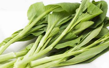 【菜苔】菜苔的功效與作用營養(yǎng)價(jià)值_菜苔怎么做好吃_菜苔的做法大全 【菜苔】菜苔的功效與作用營養(yǎng)價(jià)值_菜苔怎么做好吃_菜苔的做法大全