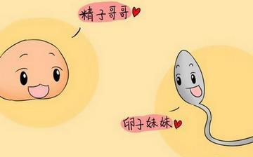 【卵子】卵子排出體外是什么樣_卵子多大排出_卵子檢查注意事項_卵子發(fā)育不好怎么辦 【卵子】卵子排出體外是什么樣_卵子多大排出_卵子檢查注意事項_卵子發(fā)育不好怎么辦