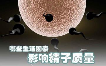 【精子質(zhì)量】精子質(zhì)量差有什么表現(xiàn)_提高精子質(zhì)量的方法
