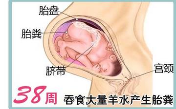【懷孕38周】懷孕38周發(fā)育指標(biāo)檢查_懷孕38周胎兒變化_媽媽狀態(tài)_懷孕38周注意事項 【懷孕38周】懷孕38周發(fā)育指標(biāo)檢查_懷孕38周胎兒變化_媽媽狀態(tài)_懷孕38周注意事項