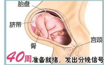 【懷孕40周】懷孕40周發(fā)育指標檢查_懷孕40周胎兒變化_媽媽狀態(tài)_懷孕40周注意事項 【懷孕40周】懷孕40周發(fā)育指標檢查_懷孕40周胎兒變化_媽媽狀態(tài)_懷孕40周注意事項