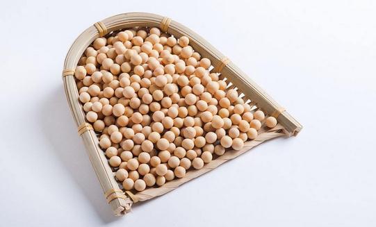 黃豆的營養(yǎng)價值竟然那么強大？