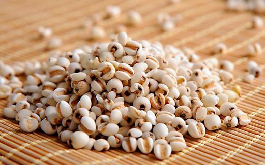 薏仁米有什么功效？薏仁米的食用方法