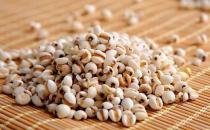 薏仁米有什么功效？薏仁米的食用方法