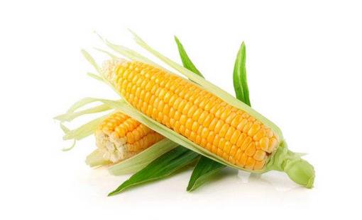玉米有什么營養(yǎng)價值？玉米的美味做法