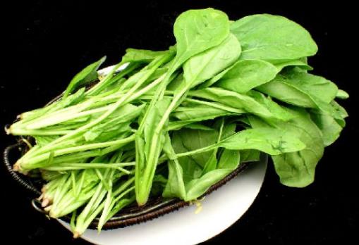 菠菜可不可以生吃？