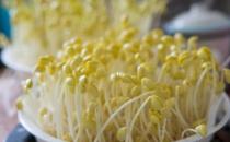 豆芽要如何正確保存？