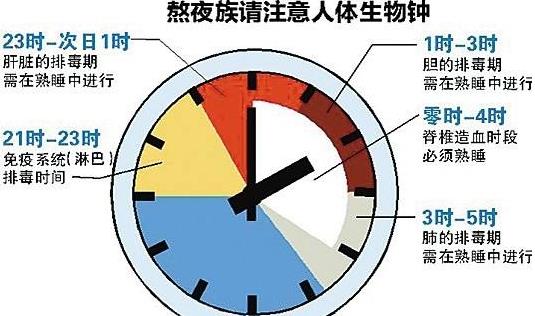 生物鐘的功能有哪些？生物鐘顛倒怎么辦
