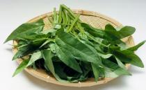 吃菠菜的功效竟然那么強(qiáng)大！