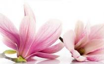 ?盤點(diǎn)婦科疾病會(huì)帶來的危害