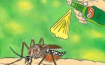 秋季蚊子毒？教你如何有效防蚊